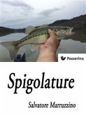 Spigolature (eBook, ePUB)