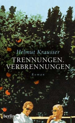 Trennungen. Verbrennungen (eBook, ePUB) - Krausser, Helmut
