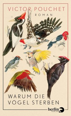 Warum die Vögel sterben (eBook, ePUB) - Pouchet, Victor