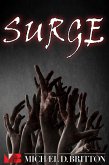 Surge (eBook, ePUB)