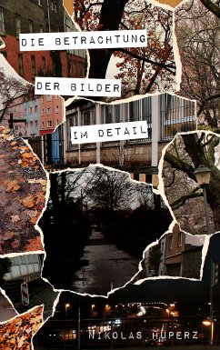 Die Betrachtung der Bilder im Detail (eBook, ePUB)