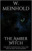 The Amber Witch (eBook, ePUB)