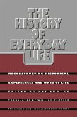 The History of Everyday Life (eBook, PDF)