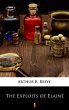 The Exploits of Elaine (eBook, ePUB) - Bild 1