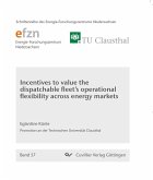 Incentives to value the dispatchable fleet’s operational flexibility across energy markets (eBook, PDF)
