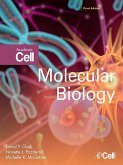 Molecular Biology (eBook, ePUB)