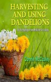 Harvesting And Using Dandelions (eBook, ePUB)