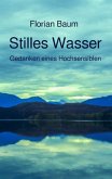 Stilles Wasser (eBook, ePUB)