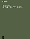 Mathematik-Praktikum (eBook, PDF)