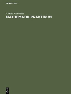 Mathematik-Praktikum (eBook, PDF) - Nieswandt, Aribert