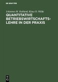 Quantitative Betriebswirtschaftslehre in der Praxis (eBook, PDF)