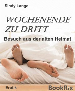 Ein Wochenende zu dritt (eBook, ePUB) - Lange, Sindy