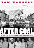 After Coal (eBook, PDF)