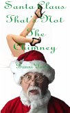 Santa Claus That's Not The Chimney (eBook, ePUB)
