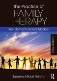 The Practice of Family Therapy (eBook, PDF)