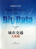 Big Data of City Traffice (eBook, PDF)