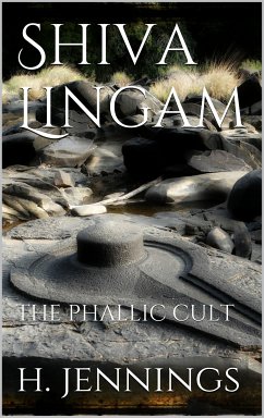 Shiva Lingam (eBook, ePUB)