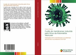 Fusão de membranas induzida pelo Vírus da Estomatite Vesicular - Carneiro, Fabiana