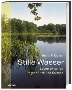 Stille Wasser - Kremer, Bruno P.
