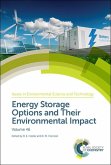 Energy Storage Options and Their Environmental Impact (eBook, PDF)