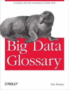 Cover Big Data Glossary (eBook, PDF)