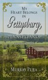 My Heart Belongs in Gettysburg, Pennsylvania: Clarissa's Conflict