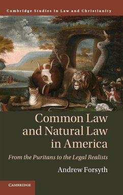 Common Law and Natural Law in America - Forsyth, Andrew