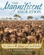 The Magnificent Migration - Bild 1