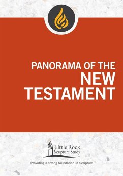 Panorama of the New Testament - Binz, Stephen J