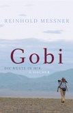 Gobi (eBook, ePUB)
