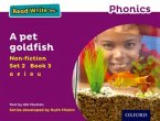 Read Write Inc. Phonics: A Pet Goldfish (Purple Set 2 Non-fiction 3)