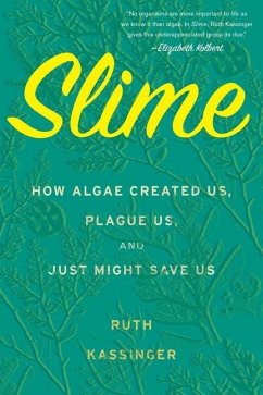 Slime - Kassinger, Ruth