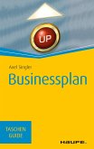Businessplan (eBook, PDF)