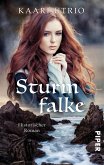 Sturmfalke (eBook, ePUB)