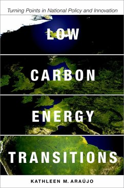 Low Carbon Energy Transitions (eBook, PDF) - Ara?jo, Kathleen