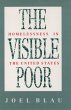 The Visible Poor (eBook, PDF) - Bild 1
