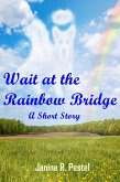 Wait at the Rainbow Bridge (eBook, ePUB)