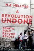 A Revolution Undone (eBook, PDF)
