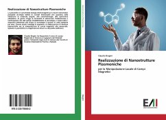 Cover Realizzazione di Nanostrutture Plasmoniche