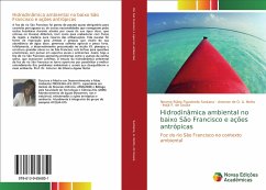 Hidrodinâmica ambiental no baixo São Francisco e ações antrópicas - Santana, Neuma Rúbia Figueiredo;A. Netto, Antenor de O.;de Souza, Inajá F.