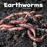 Earthworms (eBook, PDF)