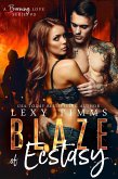 Blaze of Ecstasy (A Burning Love Series, #3) (eBook, ePUB)