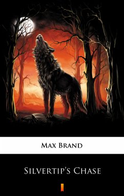 Silvertip’s Chase (eBook, ePUB) - Brand, Max