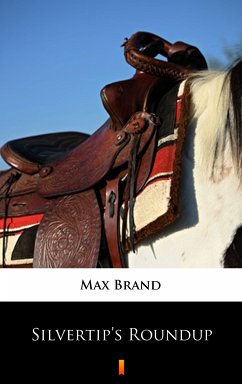 Silvertip’s Roundup (eBook, ePUB) - Brand, Max