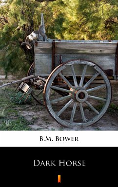 Dark Horse (eBook, ePUB) - Bower, B.M.