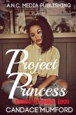 Project Princess (eBook, ePUB)