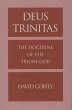 Deus Trinitas (eBook, PDF) - Bild 1