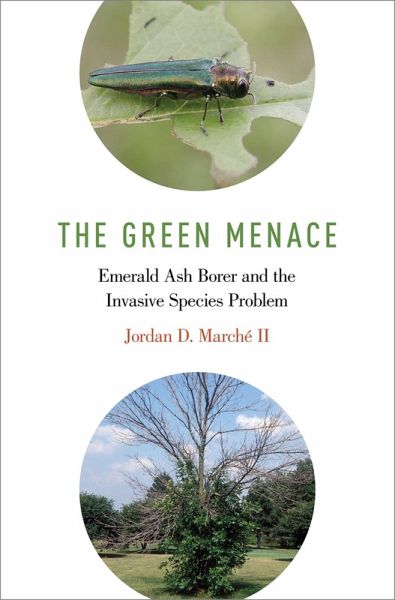 The Green Menace (eBook, PDF)