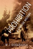 Prohibition (eBook, PDF)