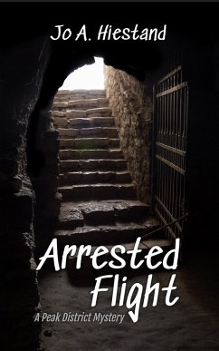 Cover Arrested Flight (The McLaren Mysteries, #8) (eBook, ePUB)